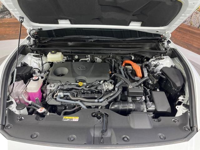 25446122_carP_l_18.jpg