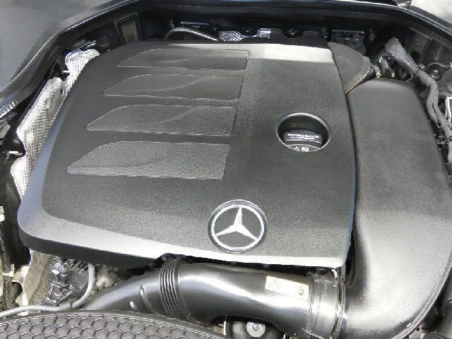 a786e09872d65df554b565858dfc1b77.jpg