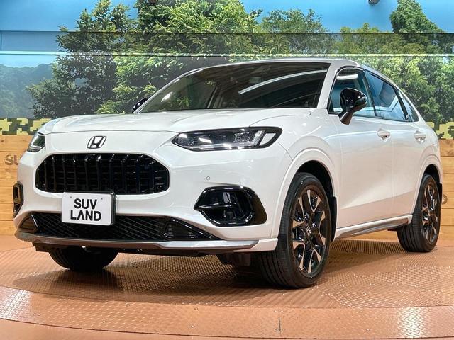 24768057_carP_l_16.jpg