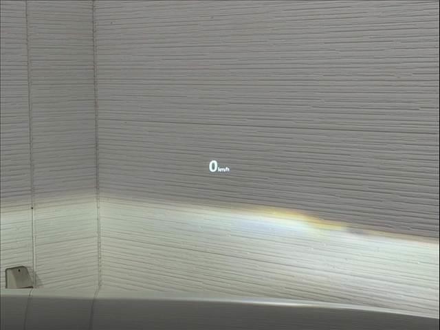 24988650_carP_l_9.jpg