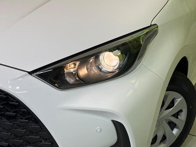 25178981_carP_l_6.jpg