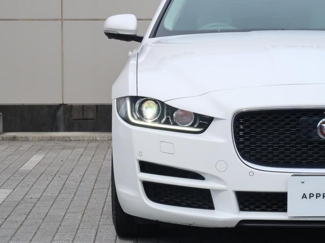 26105692_carP_l_8.jpg