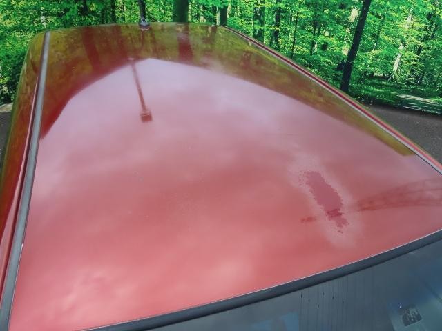 26557525_carP_l_18.jpg