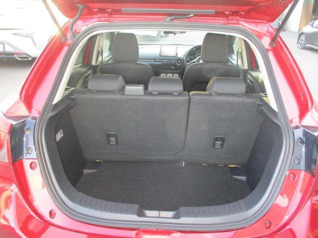 24325682_carP_l_18.jpg