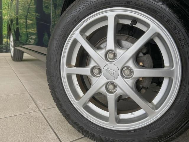 25591957_carP_l_6.jpg