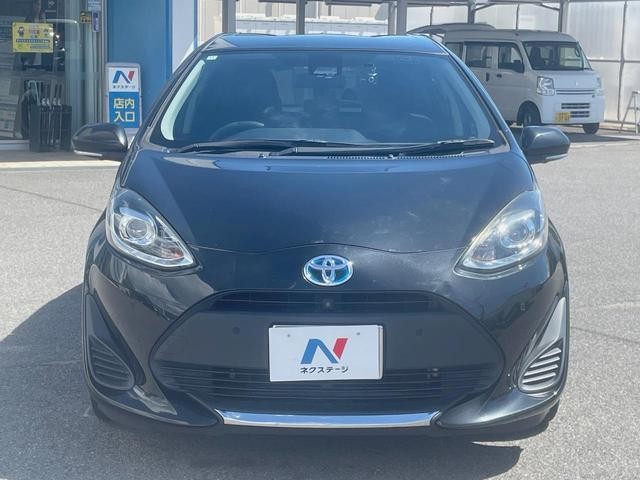 26533676_carP_l_11.jpg
