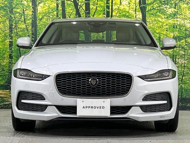 26293148_carP_l_9.jpg