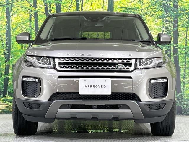 26293149_carP_l_12.jpg