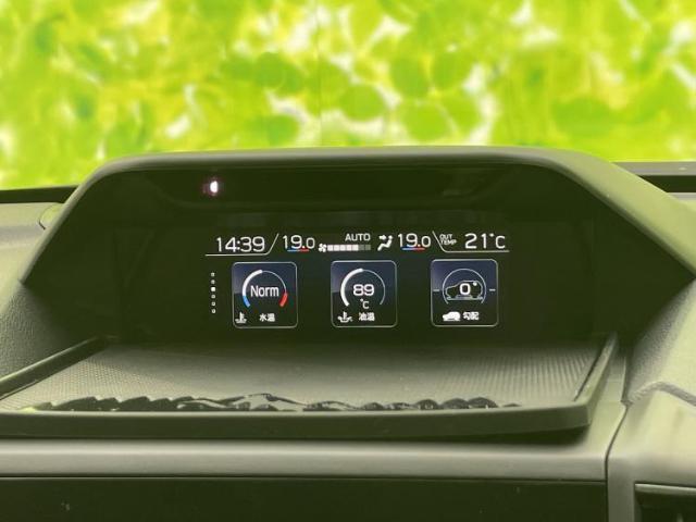 23345567_carP_l_16.jpg