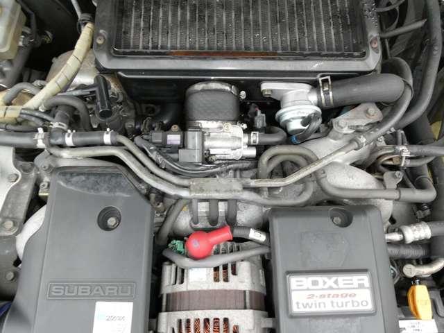 24836623_carP_l_11.jpg