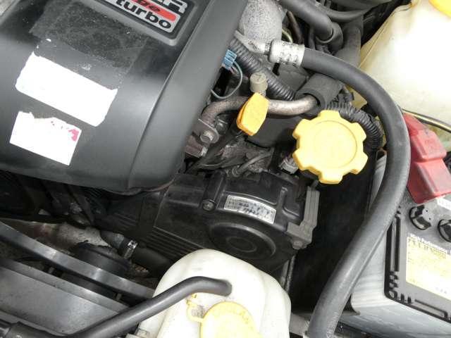 24836623_carP_l_12.jpg