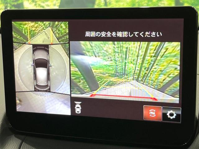 23945337_carP_l_10.jpg