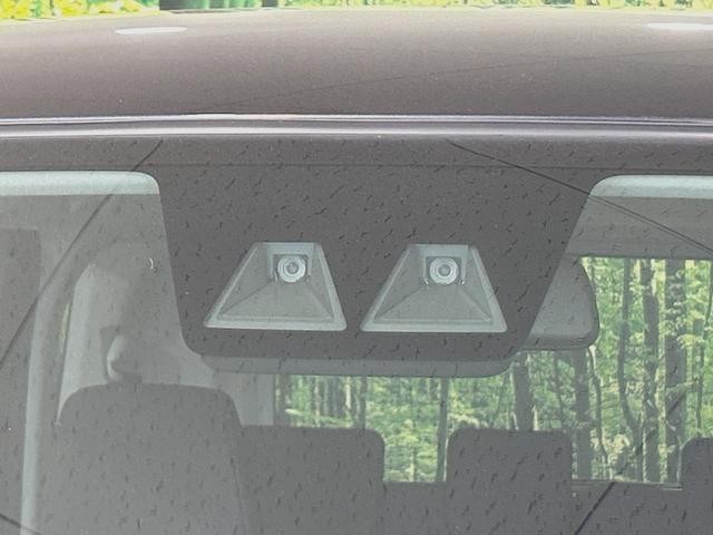 25714940_carP_l_10.jpg