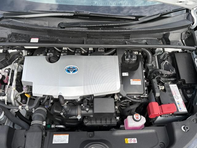 1300934A30261020W00117.jpg