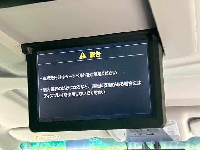 26314849_carP_l_10.jpg