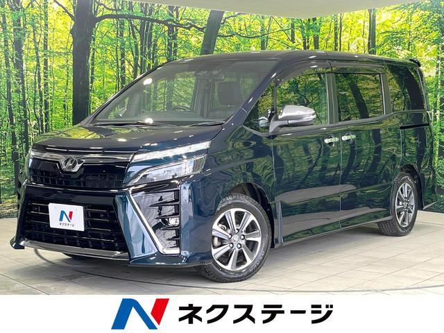 23715191_carP_l_1.jpg