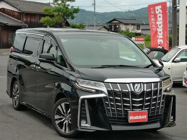 24813498_carP_l_4.jpg