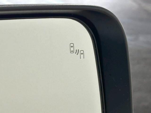 23390650_carP_l_19.jpg