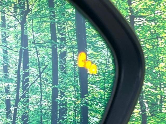 25445843_carP_l_13.jpg