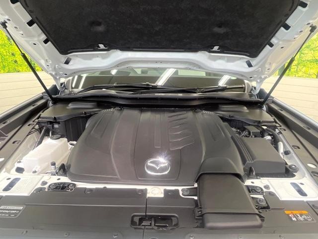 26491322_carP_l_16.jpg