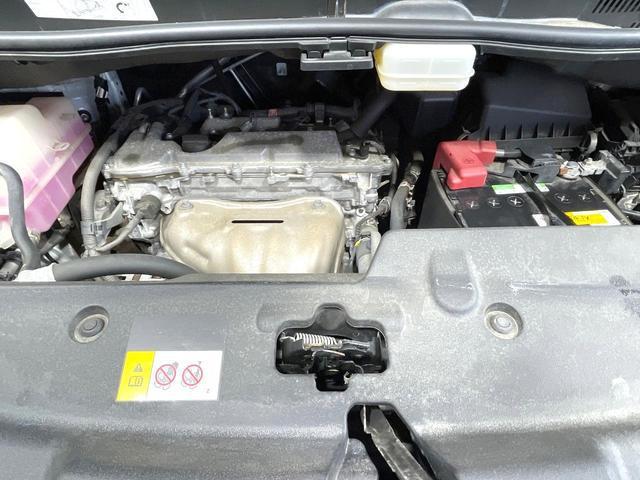 24340962_carP_l_18.jpg