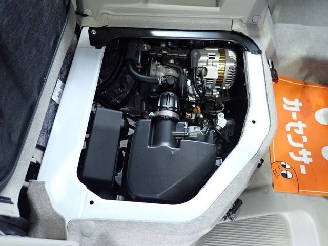 25262534_carP_l_19.jpg