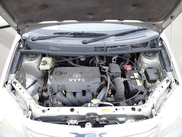 24325697_carP_l_17.jpg