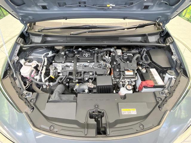 24500918_carP_l_16.jpg