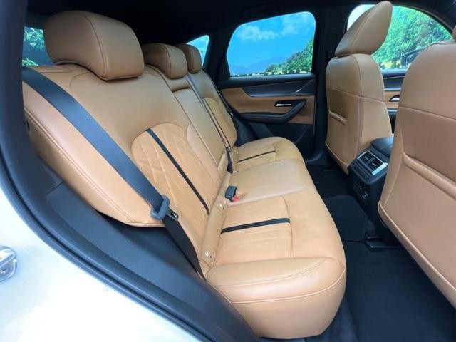 25262755_carP_l_19.jpg