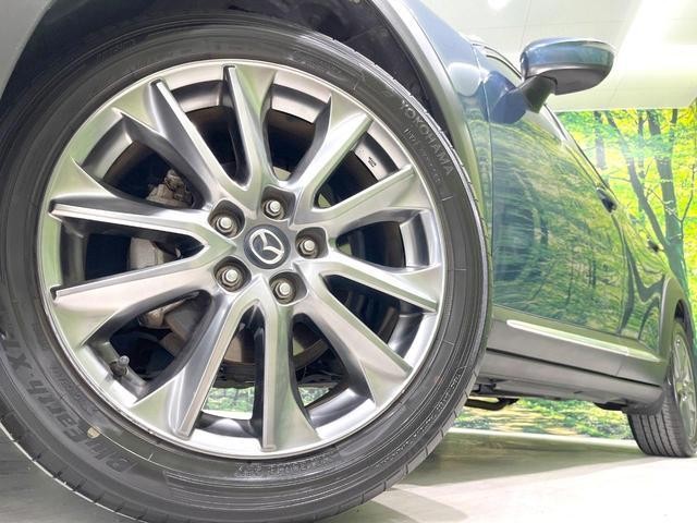 25571412_carP_l_7.jpg
