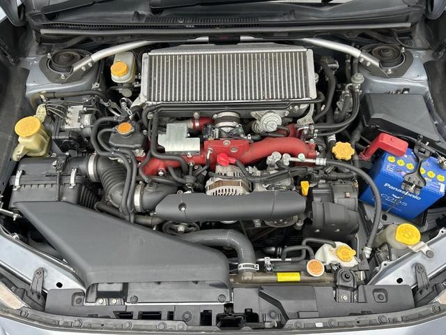 25035546_carP_l_18.jpg