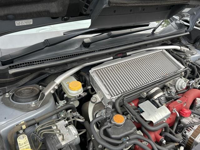 25035546_carP_l_4.jpg