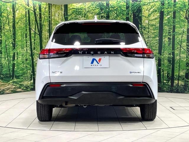 24501256_carP_l_9.jpg