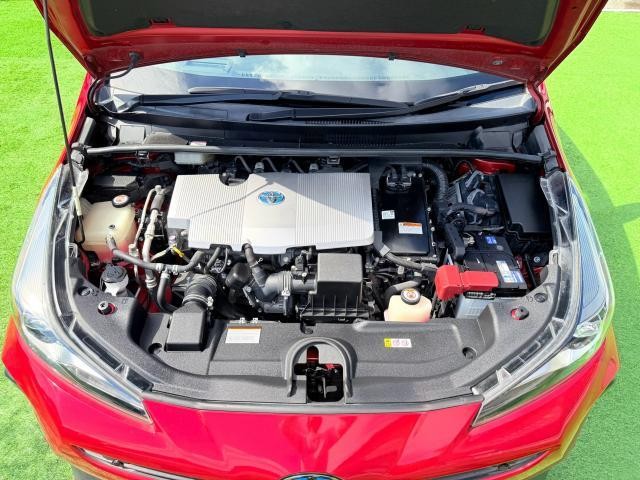26930687_carP_l_12.jpg
