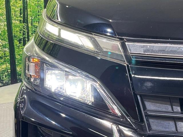 24340665_carP_l_7.jpg