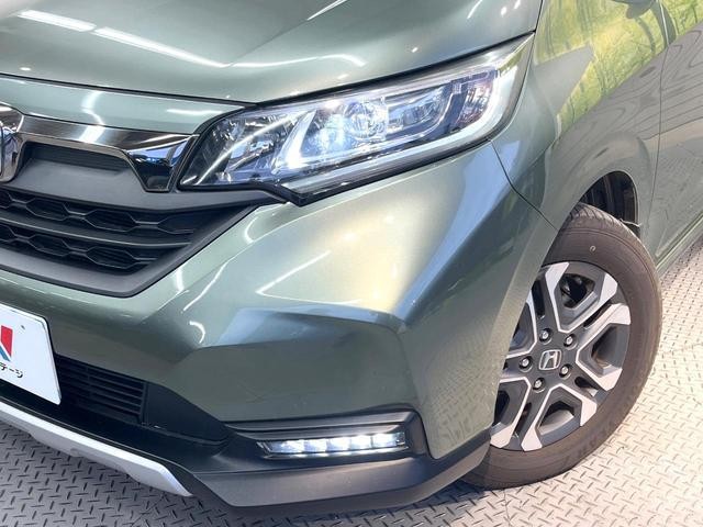 25571461_carP_l_6.jpg