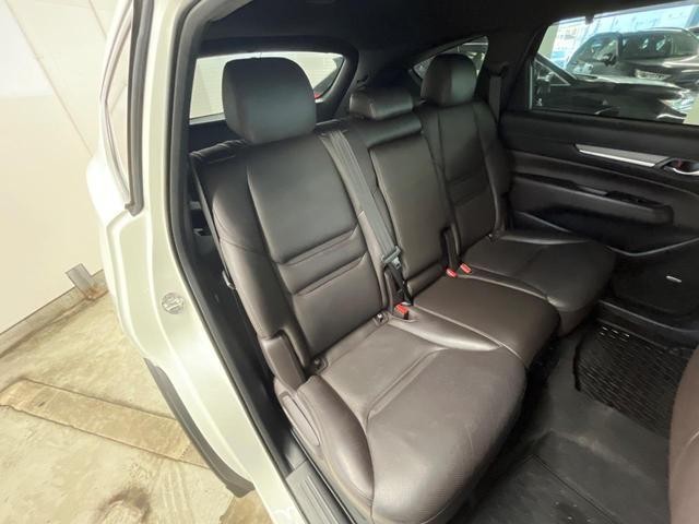 26689177_carP_l_19.jpg