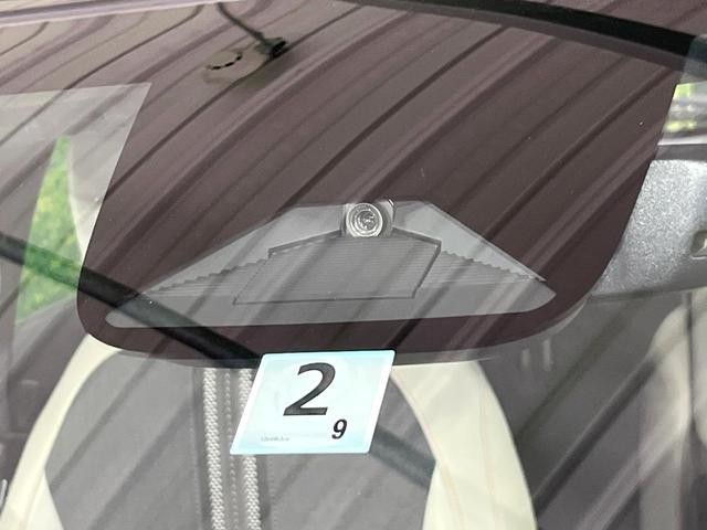25714860_carP_l_13.jpg