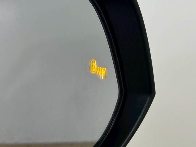 24947479_carP_l_6.jpg