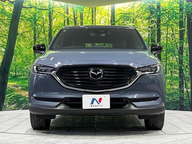 24340776_carP_l_9.jpg