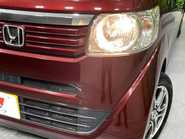 25715030_carP_l_8.jpg