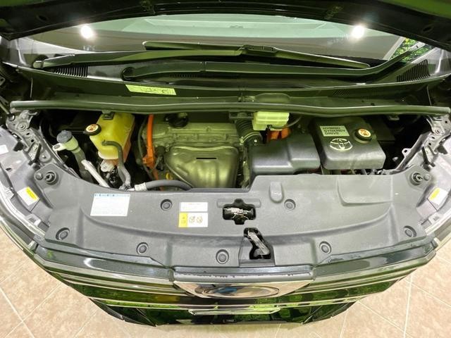 26231025_carP_l_16.jpg