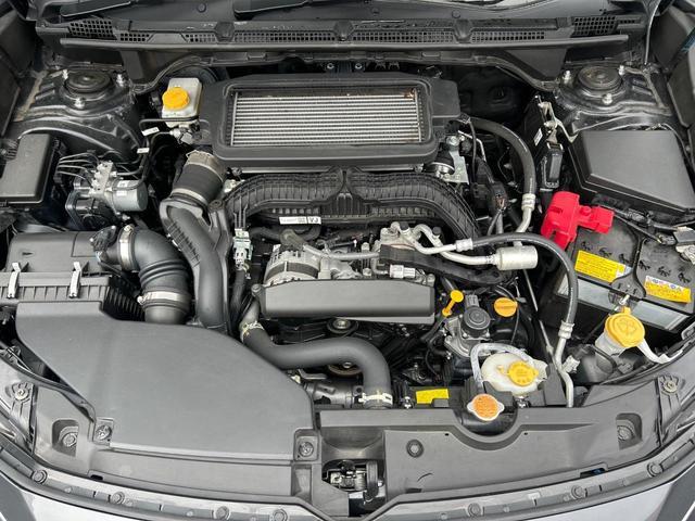 25035549_carP_l_16.jpg