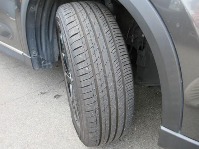 23635117_carP_l_12.jpg