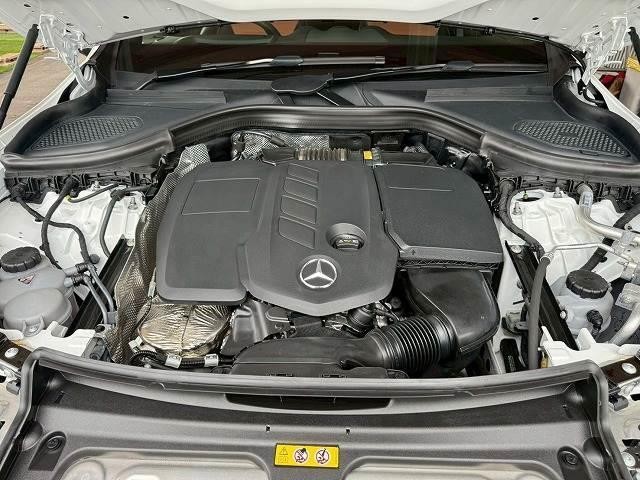24947488_carP_l_8.jpg