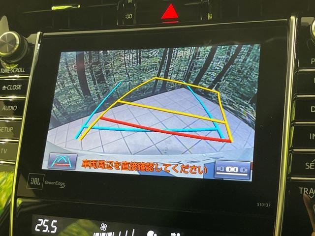 25199978_carP_l_10.jpg