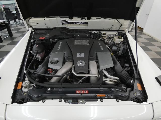 25383888_carP_l_20.jpg