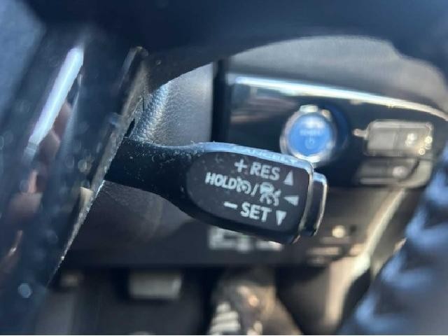 25816073_carP_l_16.jpg
