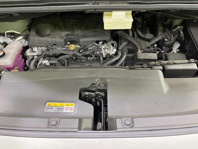 25694717_carP_l_12.jpg