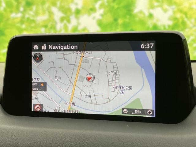 22988467_carP_l_19.jpg